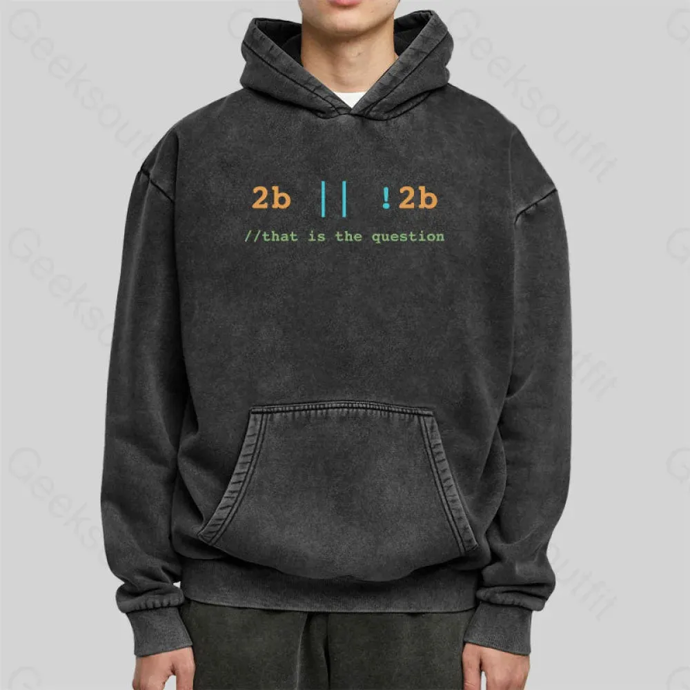 2B or Not 2B That is the Question Washed Hoodie