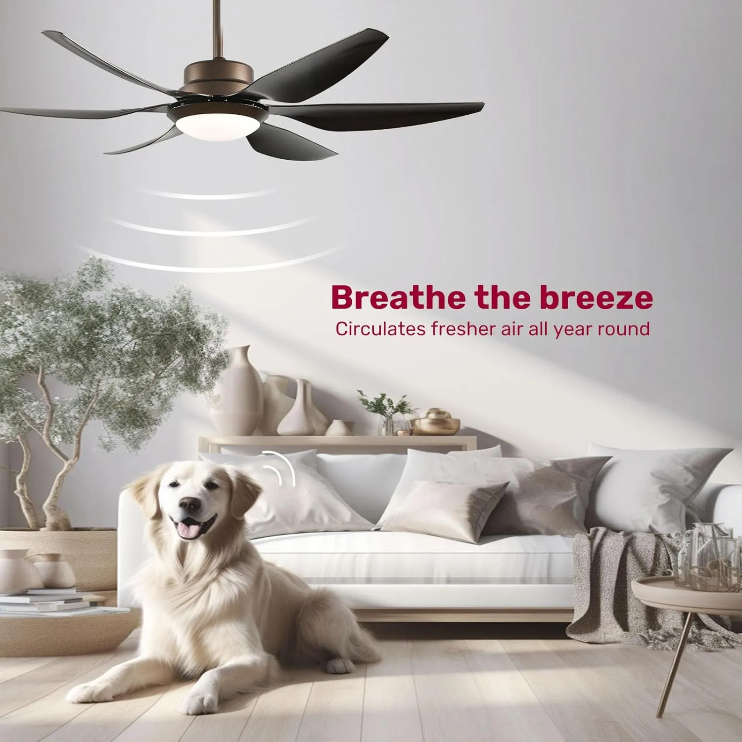 56-inch Ceiling Fans with Lights and Remote - Indoor/Outdoor Ceiling Fans with Light, Dimmable 3-Color Temperature Reversible Blades 6 Speed Quiet DC Motor