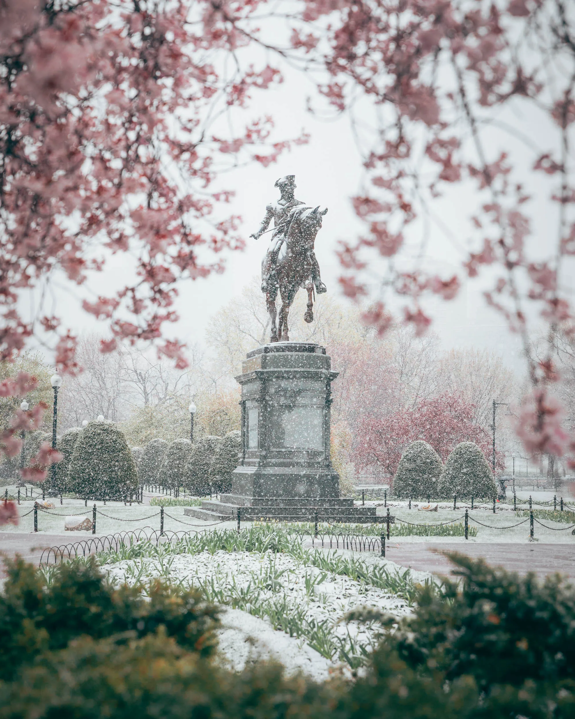 APRIL SNOW IN BOSTON PUBLIC GARDEN