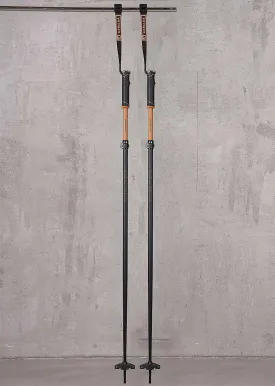 Armada AK Adjustable Workhorse Ski Poles