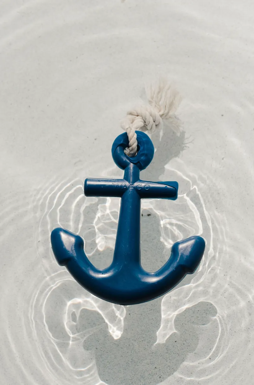 Floating Anchor Rubber Toy