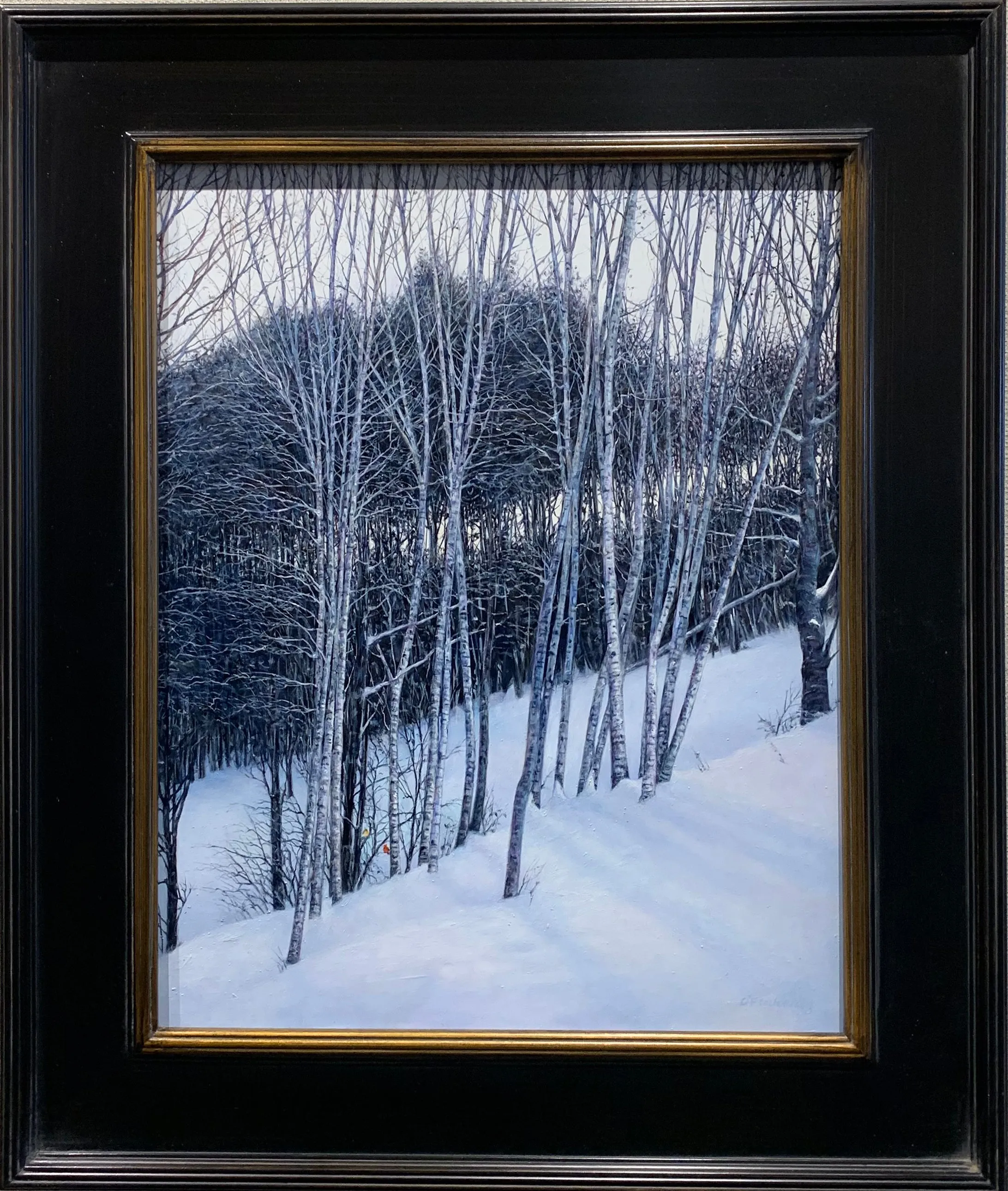 Silver Birch painting by Roderick O"Flaherty